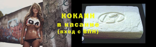 прущие грибы Баксан