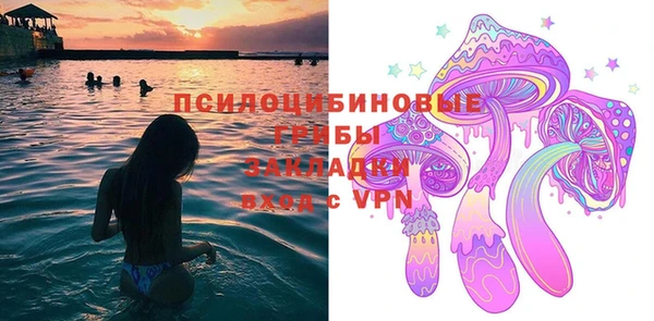 прущие крисы Балахна