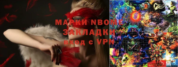 прущие грибы Баксан