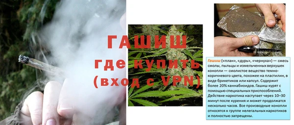 прущие грибы Баксан