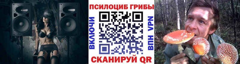 сайты даркнета клад Шенкурск Галлюциногенные грибы Magic Shrooms